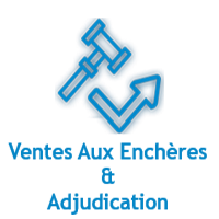 Vente aux encheres